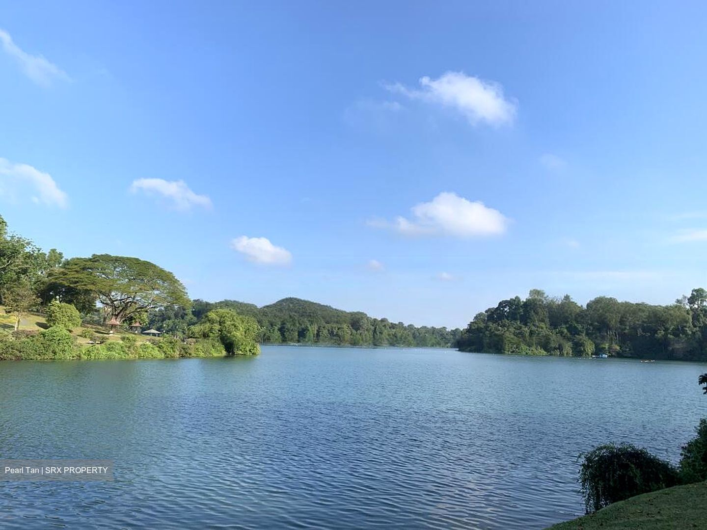 Caldecott Hill Estate (D11), Detached #457966681